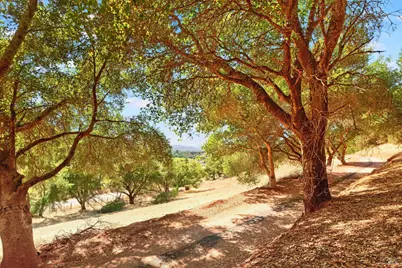 318 Crystal Springs Road, Saint Helena, CA 94574 - Photo 19
