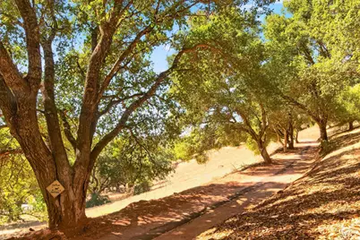 318 Crystal Springs Road, Saint Helena, CA 94574 - Photo 7