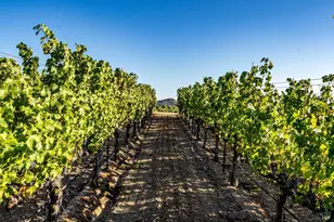1095 Hardman Ave, Napa, CA 94558 - Photo 11