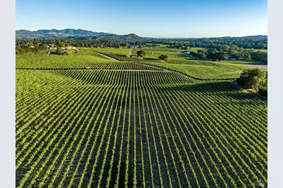 1095 Hardman Avenue, Napa, CA 94558 - Photo 7