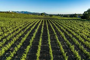 1095 Hardman Ave, Napa, CA 94558 - Photo 9