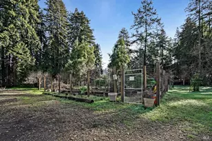 7233 Harmon Ave, Guerneville, CA 95446 - Photo 43