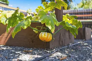 230 Chelsea Ave, Napa, CA 94558 - Photo 55