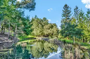 40 Los Pinos, Nicasio, CA 94946 - Photo 91
