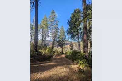 16351 Gibson Lane, Potter Valley, CA 95469 - Photo 3