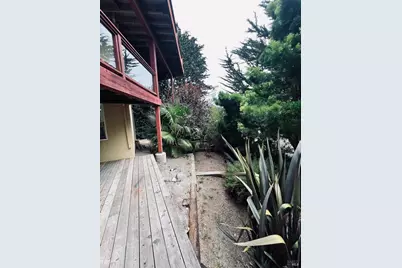 259 Greene Street, Mill Valley, CA 94941 - Photo 7