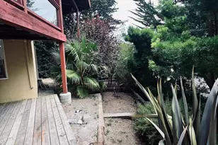 259 Greene St, Mill Valley, CA 94941 - Photo 7
