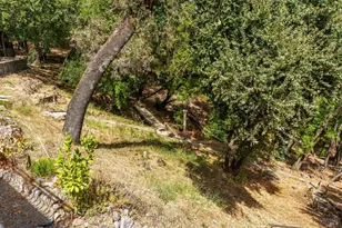 2145 NW Mount Veeder Rd, Napa, CA 94558 - Photo 59