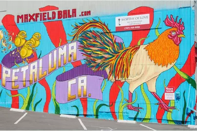 [Address not provided], Petaluma, CA 94952 - Photo 69