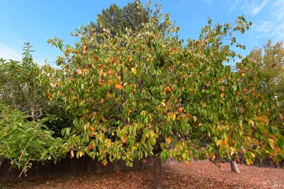 1723 Novato Boulevard, Novato, CA 94947 - Photo 27