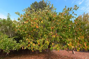1723 Novato Blvd, Novato, CA 94947 - Photo 27