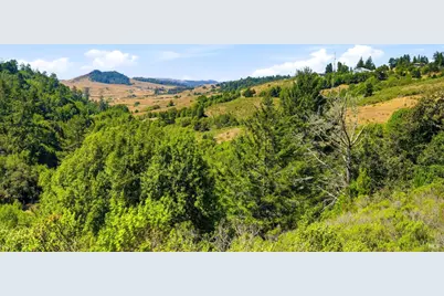 10635 Barnett Valley Road, Sebastopol, CA 95472 - Photo 3
