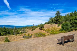 11901 Clow Ridge Rd, Philo, CA 95466 - Photo 45