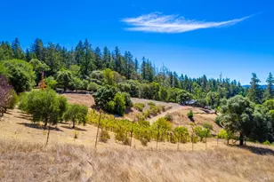 11901 Clow Ridge Rd, Philo, CA 95466 - Photo 47