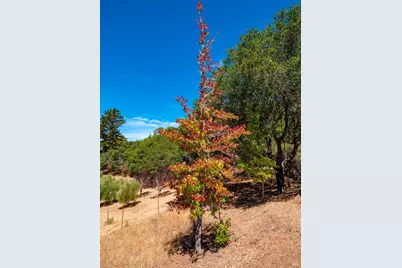 11901 Clow Ridge Road, Philo, CA 95466 - Photo 55