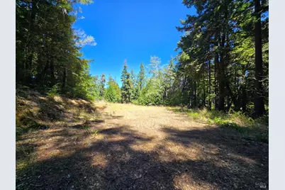 40741 Garcia River Road, Point Arena, CA 95468 - Photo 13