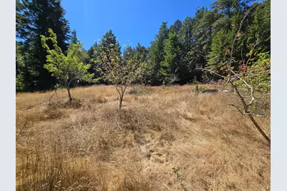 40741 Garcia River Road, Point Arena, CA 95468 - Photo 3