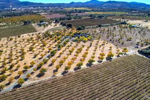 2325 Bell Hill Rd, Kelseyville, CA 95451 - Photo 31