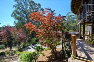 646 Ridgewood Ave, Mill Valley, CA 94941 - Photo 41