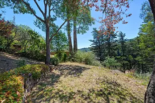 646 Ridgewood Ave, Mill Valley, CA 94941 - Photo 45