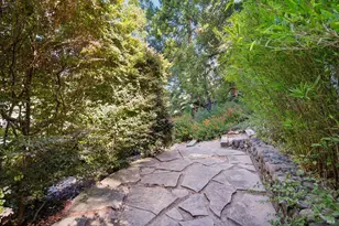 25 Allyn Ave, San Anselmo, CA 94960 - Photo 49