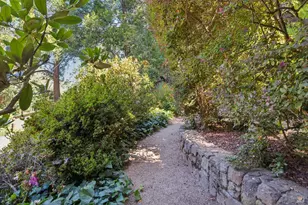 25 Allyn Ave, San Anselmo, CA 94960 - Photo 47