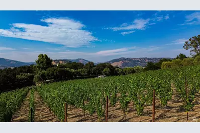 40 Long Ranch Road, Saint Helena, CA 94574 - Photo 43