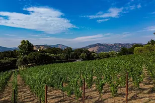 40 Long Ranch Rd, Saint Helena, CA 94574 - Photo 43