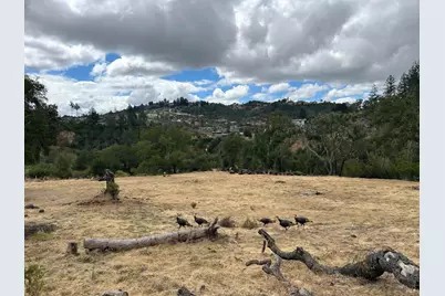 1225 Michele Way, Santa Rosa, CA 95404 - Photo 19