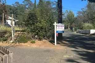 424 Clark Way, Angwin, CA 94508 - Photo 63