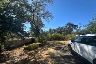 424 Clark Way, Angwin, CA 94508 - Photo 41