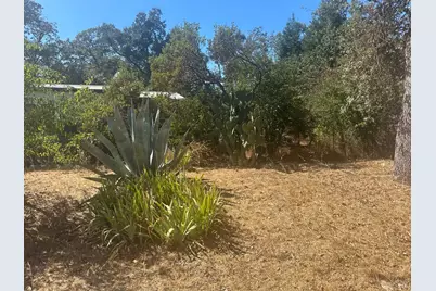 424 Clark Way, Angwin, CA 94508 - Photo 33