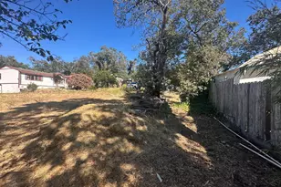 424 Clark Way, Angwin, CA 94508 - Photo 39