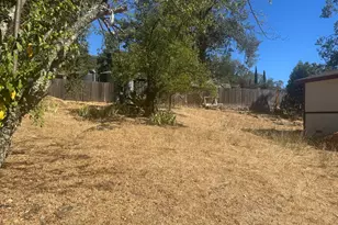 424 Clark Way, Angwin, CA 94508 - Photo 31