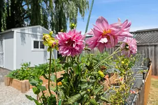 7187 Circle Dr, Rohnert Park, CA 94928 - Photo 21