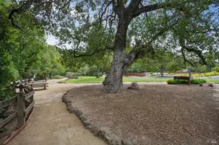 41 Mt Foraker Dr, San Rafael, CA 94903 - Photo 47