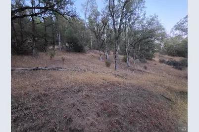 20655 Pigeon Ridge Road, Covelo, CA 95428 - Photo 11