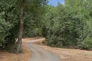 13 Oliva Dr, Novato, CA 94947 - Photo 37