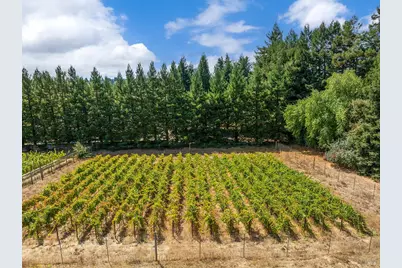3620 Evelyn Court, Sebastopol, CA 95472 - Photo 39