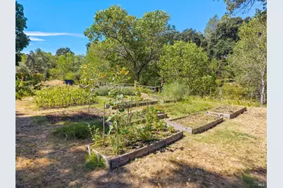 6733 Live Oak Drive, Kelseyville, CA 95451 - Photo 35