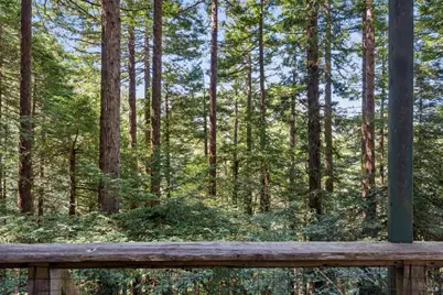 [Address not provided], Mill Valley, CA 94941 - Photo 5