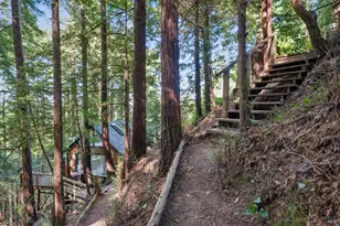 [Address not provided], Mill Valley, CA 94941 - Photo 3