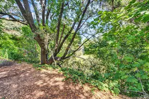 2144 Clay St, Napa, CA 94559 - Photo 47