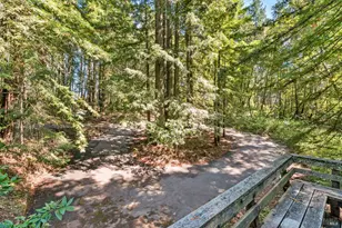 31459 Seaview Rd, Cazadero, CA 95421 - Photo 23