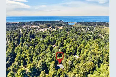 32268 Forest Lane, Fort Bragg, CA 95437 - Photo 3