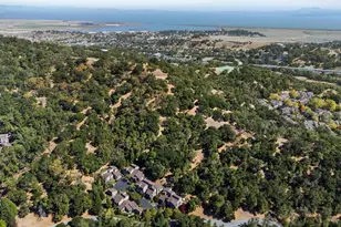 4 Hawk Ridge Ct, Novato, CA 94949 - Photo 39