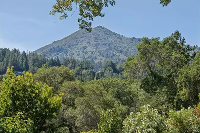 49 Hillcrest Avenue, Larkspur, CA 94939 - Photo 23