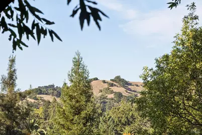 76 Forrest Avenue, San Anselmo, CA 94960 - Photo 43