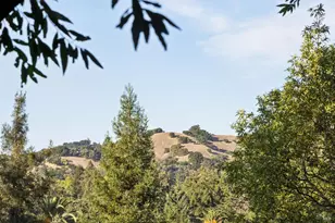 76 Forrest Ave, San Anselmo, CA 94960 - Photo 43