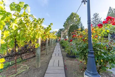 1125 Westview Drive, Napa, CA 94558 - Photo 21